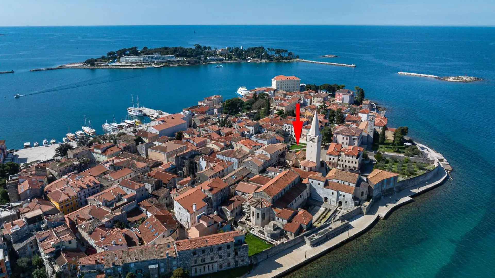 Premium Apartment Vergottini contacts